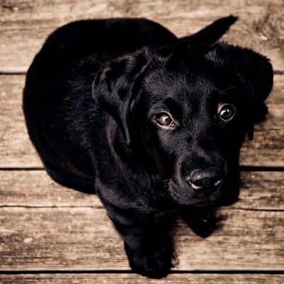 智慧便利出色的网页端ddos