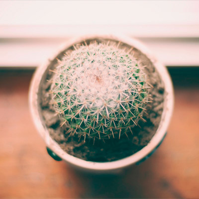 cc攻击免费网页版