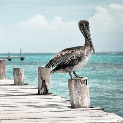 求个安全渠道的在线DDOS压力测试网页端